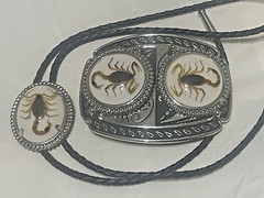 Silver tone Scorpion Belt Buckle and Bolo Set