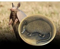 Vintage Armadillo Belt Buckle Engraved Brass Texas Southwestern Rodeo Style