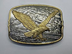 Flying Eagle Spreading Wings over the Mountain Scene Vintage Belt Buckle