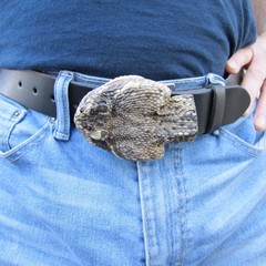 Genuine Taxidermy Rattlesnake Head Belt Buckle Real Snake Skin Cloth Accessory