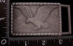 LI08141 *NOS* VINTAGE ***EAGLE LANDING*** ROPE OUTLINE PEWTER BELT BUCKLE