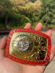 Western Buckle Gold Silver Longhorn Horseshoe Red 2 » Buckle Hebillas Vaqueras