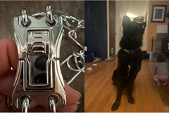 Quick-Release Buckle for Prong Collar, Stainless Steel Metal Buckle for 2.25Mm 3