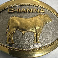 Western Chianina Bull 24KGP Men&rsquo;s Belt Buckle 1st edition Award Design Medals