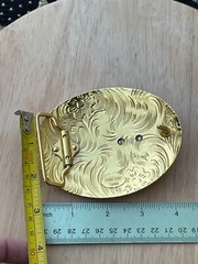 Western Buckle Gold Silver Red Longhorn Horseshoe Cowboy Fit 2 » Hebilla Vaquero