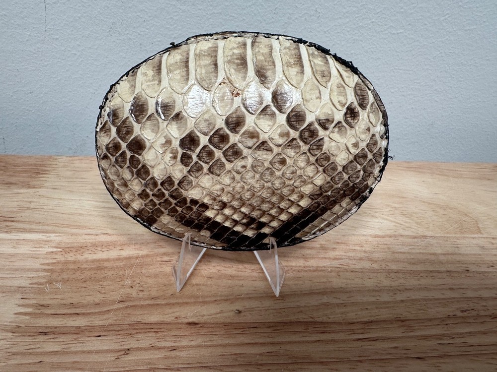 Python Buckle Western Cowboy Style – Fast Free Shipping!