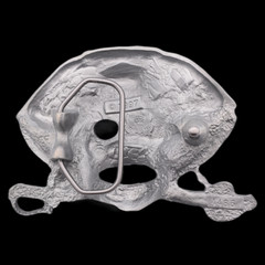 Pirate Skull Swords Hat Eyepatch Flag Pirate Ship Gold Vessel Belt Buckle