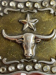 Vintage Belt Buckle Western Cowboy Texas Steer Star A212 Classico Italia