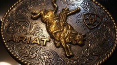 Ariat Western Belt Buckle Oval Bull Rider Logo Silver & Gold tone A37056