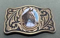 Unisex Decorative Metal Belt Buckle with Colorful Horse Button Rosette