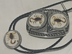 Silver tone Scorpion Belt Buckle and Bolo Set