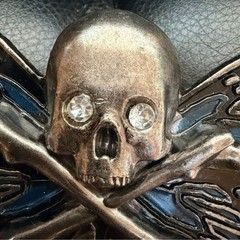 Gothic Skull Butterfly Belt Buckle Rhinestone Eyes Dark Grunge 3.5&Prime;x2.5&Prime; Punk