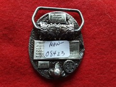 PEWTER BELT BUCKLE, « EAGLE » 3-D DESIGN, SISKIYOU-BERGAMOT USA, MAN-0724*08423