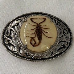 Men&rsquo;s Western Oval Scorpion Engraved Metal Belt Buckle Fits 1.5 in Belt