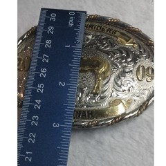 Montana Silversmiths Horse Belt Buckle Roughriders 2009 Hannah Silver Gold Tone