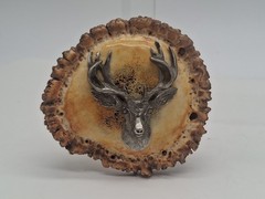 Vintage Handcrafted Elk Antler Burr Belt Buckle Buck