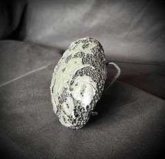 Pumice Stone Belt Buckle Archive Mixed Media Industrial Art OOAK Darren McNeese