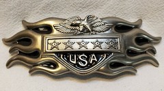 Stainless Steel Oblong Belt Buckle Flamed Eagle USA Stars Removeable