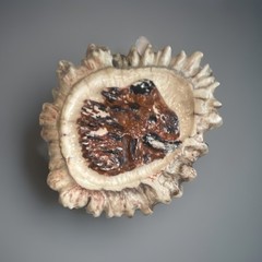 Artisan Deer Antler Belt Buckle Carved Moose Wildlife Rustic Western Hunting