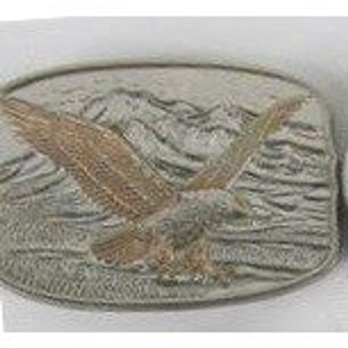 Vintage Western Eagle Mountain Belt Buckle Silver Bronze Two Tone Oval Metal
