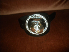 NEW FASHION SILVER BUCKLE WITH A MONEY BAG AND CLEAR STONE ONLY BUCKLE