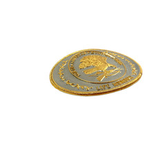 Vintage North American Hunting Club Life Member Gold Silver Metal Belt Buckle