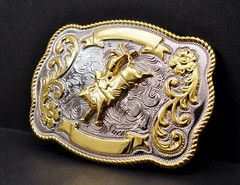 ROCK BULL RIDE RODEO LONG HUGE RODEO BIG COWBOY TEXAS WESTERN SHINE BELT BUCKLE