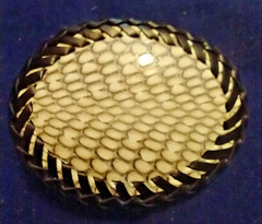 Real Corba Snakeskin Hand laced Belt Buckle made in USA