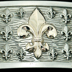 Belt Buckle Gold Tone Fleur De Lie Emblem on Silver Tone Rectangular