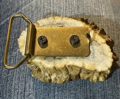Vintage Elk Antler Belt Buckle With Eagle Harley Owners Group Motorcycle