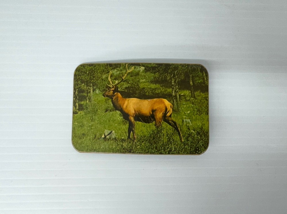 Old Vintage Real Pictured Deer Buck Belt Buckle