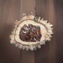 Artisan Deer Antler Belt Buckle Carved Moose Wildlife Rustic Western Hunting
