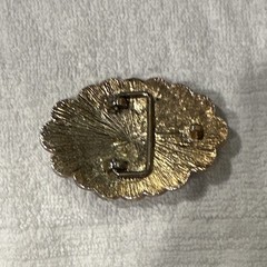 Vintage Western Belt Buckle Eagle and Faux 1878 Liberty Coins Novelty