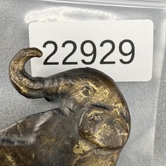 Vintage Brass Elephant Belt Buckle Safari