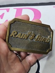 Vtg Rain Bird Logo Brass Belt Buckle Solid Brass