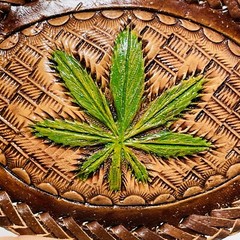 Cannabis Weed Marijuana Plant Leaf Belt Buckle Leather Whipstitch Texture Hippie