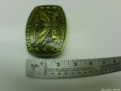 Belt Buckle, NEW, America&rsquo;s Second Amendment, Right to Bear Arms, Guns, Western