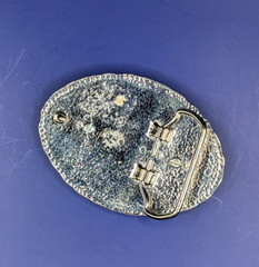 Prairie Rattlesnake Skin Insert with Bezel & Silver Scroll Belt Buckle