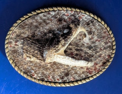 Genuine Rattlesnake Skin Oval Belt Buckle wit Head made in USA #B366