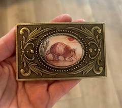 Armadillo Belt Buckle Western Rodeo Mens Gift Cactus Desert Animal Accessory