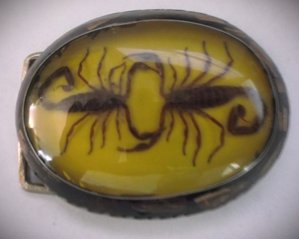 Vintage Dual-Scorpion Belt-Buckle w/Fossil Wood on Silver Design ALPACA