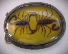 Vintage Dual-Scorpion Belt-Buckle w/Fossil Wood on Silver Design ALPACA