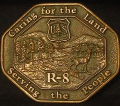 Ultra-Rare 1987 USFS Region 8 Belt Buckle – Serial #79 – Former Reg. Director