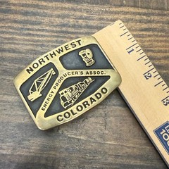 Vintage 1985 Anacortes Brass Works Northwest Energy Colorado Belt Buckle Train