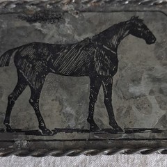 Rectangle Western Horse Print , Metal Braided Edge, Silver/Black