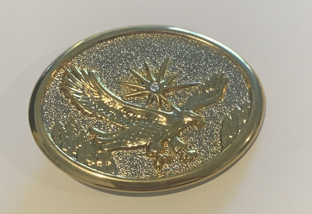 Eagle With Starburst USA Patriotic Belt Buckle Golden Western Bird Wings Cowboy