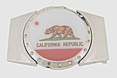 Vintage State California W Bear Logo Belt Buckle (with Lighter) Hidden Men Women