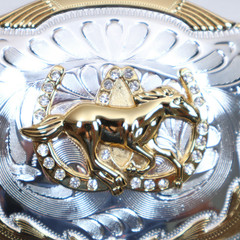 HORSE Belt Buckle RECTANGLE Horseshoe Eagles Rodeo Western LARGE