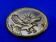 Eagle With Starburst USA Patriotic Belt Buckle Golden Western Bird Wings Cowboy