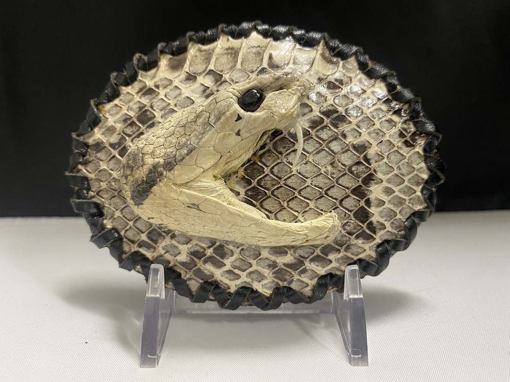 Rattle Snake Buckle Western Cowboy Style hebilla piton víbora Vaquero